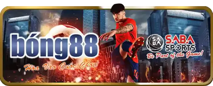 Hướng dẫn đá gà tic88