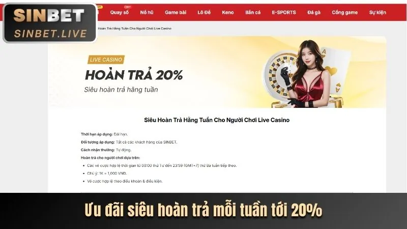 Các chương trình ưu đãi và khuyến mãi sòng bạc trực tuyến tic88